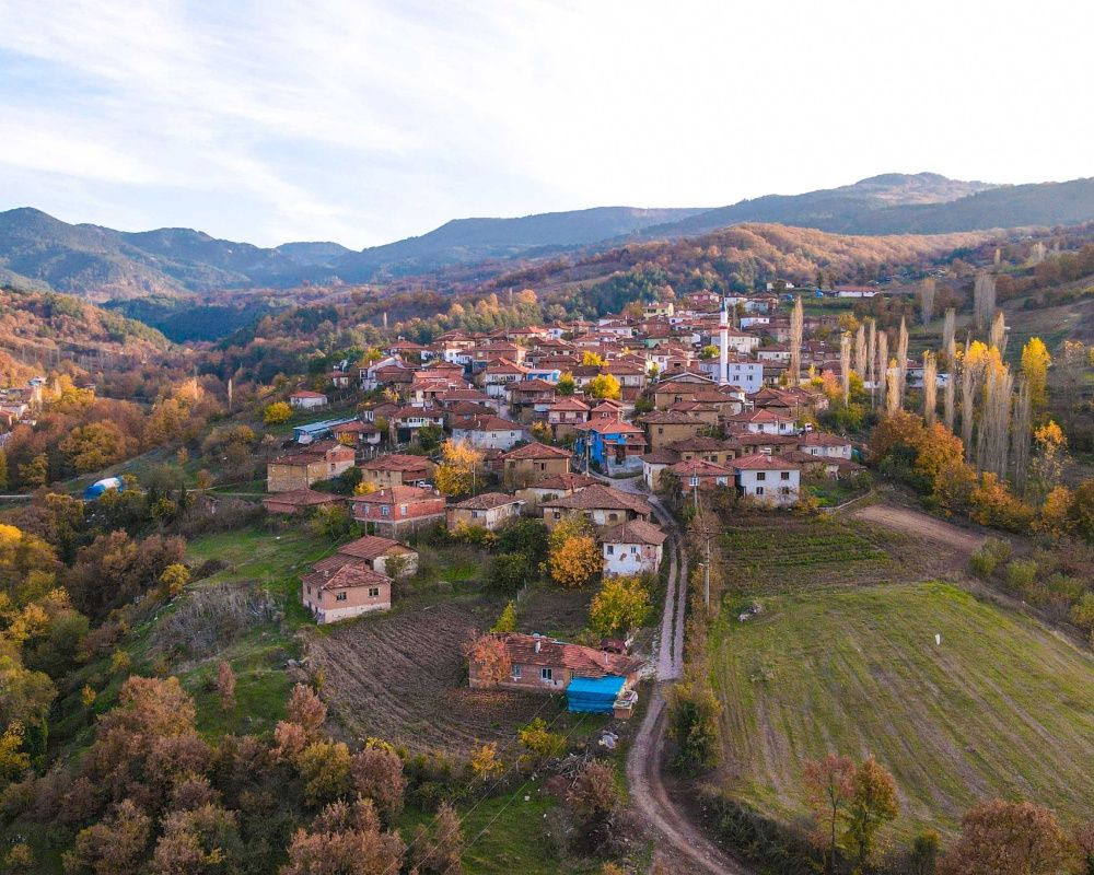 Balıkesir'deki Sındırgı ormanları düğün fotoğrafçılarının gözdesi oldu - Sayfa 21