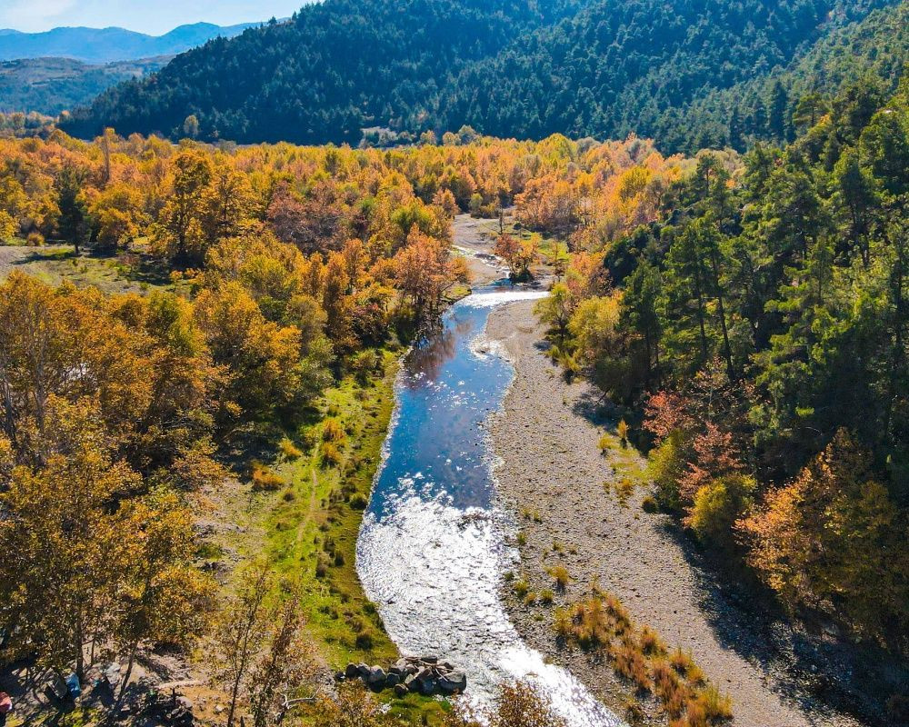 Balıkesir'deki Sındırgı ormanları düğün fotoğrafçılarının gözdesi oldu - Sayfa 22