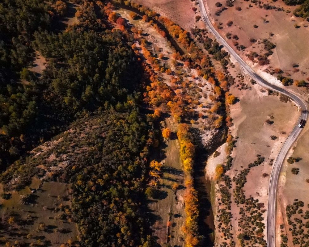 Balıkesir'deki Sındırgı ormanları düğün fotoğrafçılarının gözdesi oldu - Sayfa 23