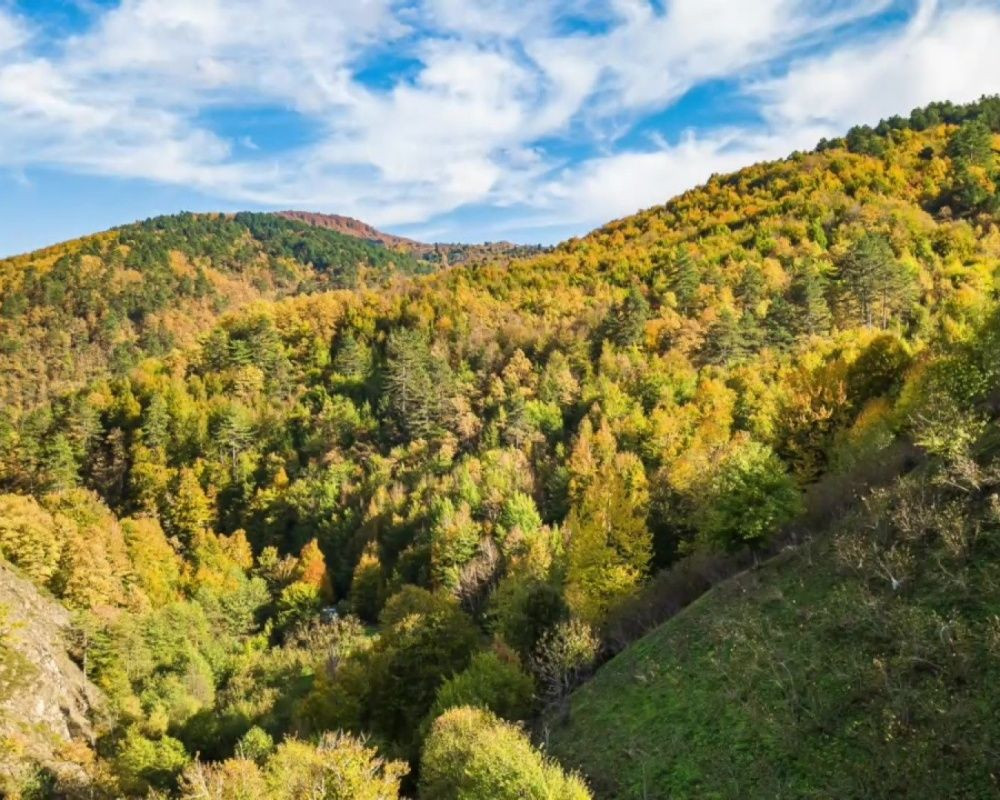 Düzce Yılançatı Kanyonu'nda sonbahar güzelliği yaşanıyor - Sayfa 6