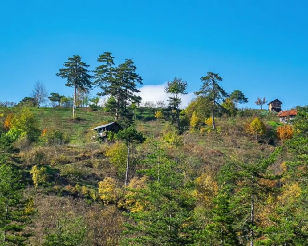Düzce Yılançatı Kanyonu'nda sonbahar güzelliği yaşanıyor - Sayfa 10