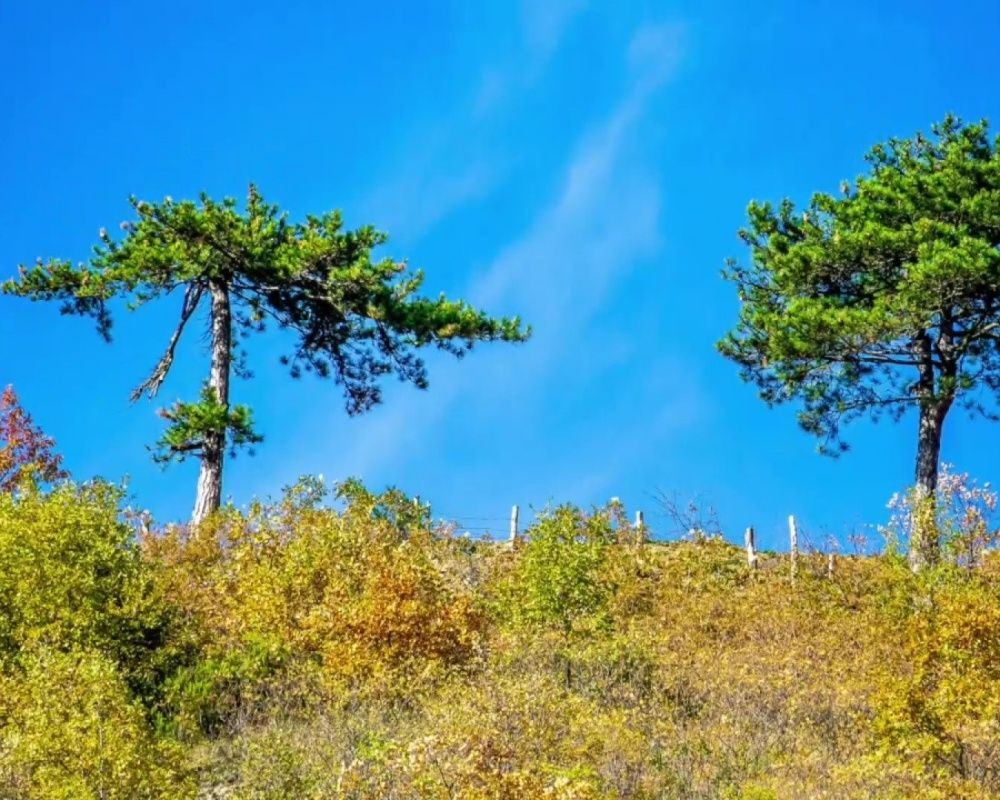 Düzce Yılançatı Kanyonu'nda sonbahar güzelliği yaşanıyor - Sayfa 11