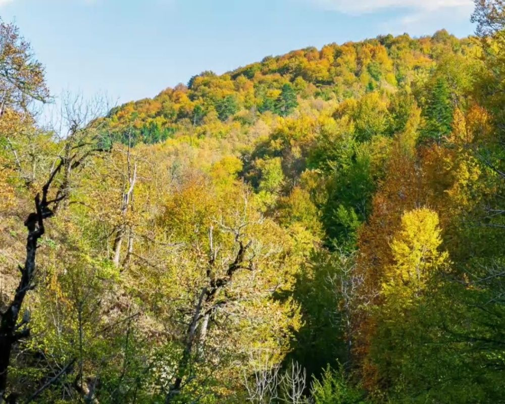 Düzce Yılançatı Kanyonu'nda sonbahar güzelliği yaşanıyor - Sayfa 12