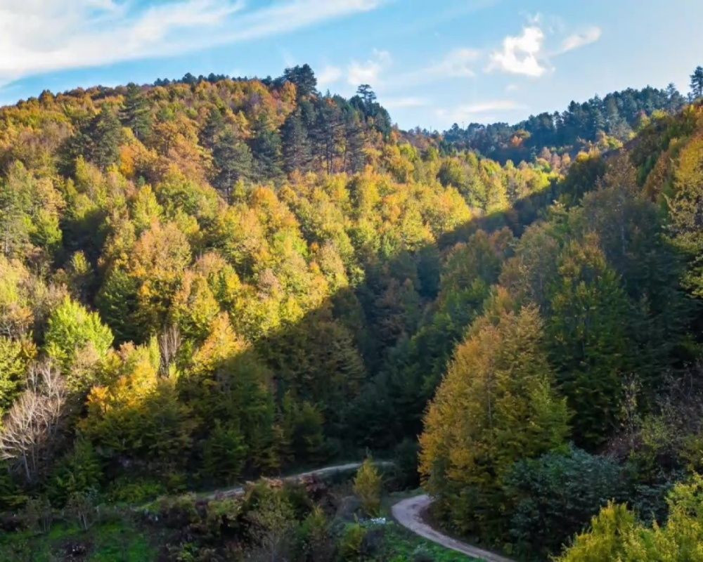 Düzce Yılançatı Kanyonu'nda sonbahar güzelliği yaşanıyor - Sayfa 13