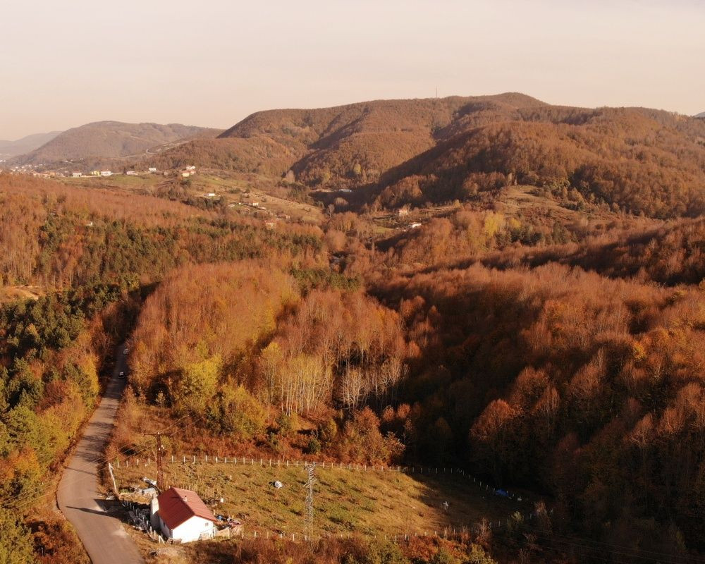 Zonguldak ormanlarındaki hazan renkleri kendine hayran bıraktırıyor - Sayfa 5
