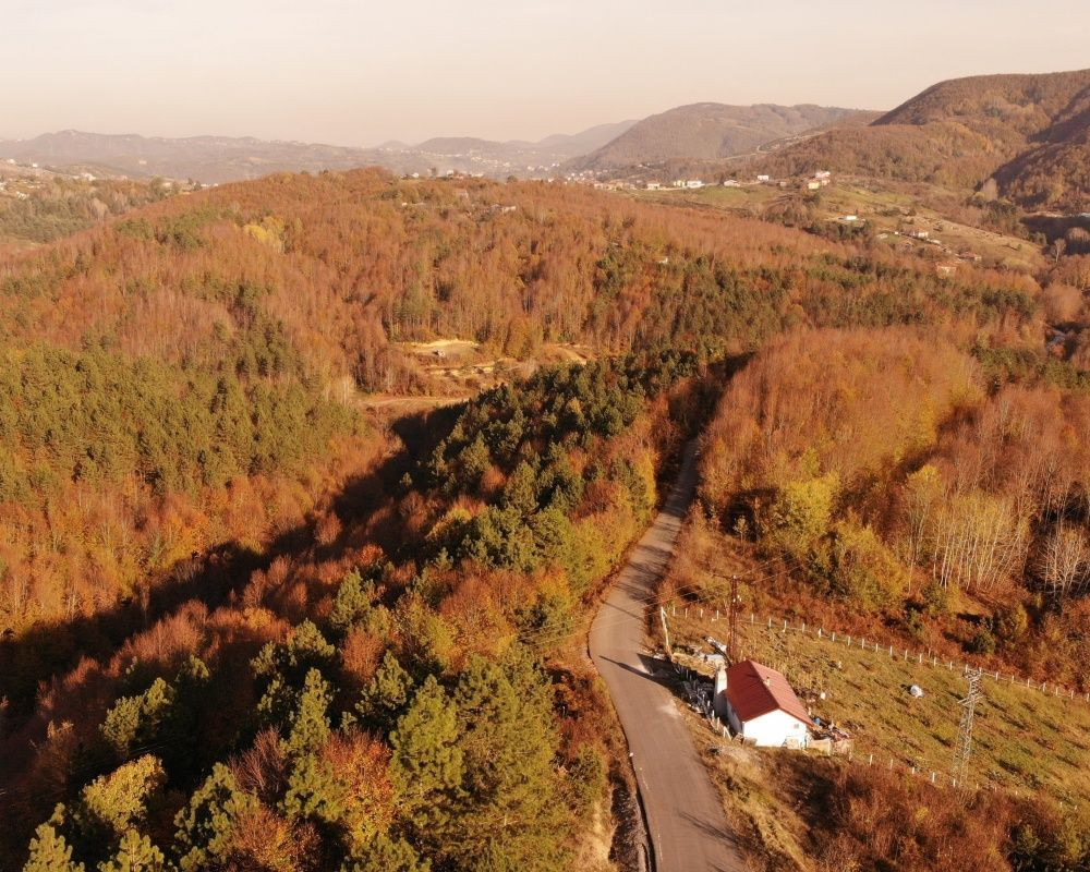 Zonguldak ormanlarındaki hazan renkleri kendine hayran bıraktırıyor - Sayfa 6