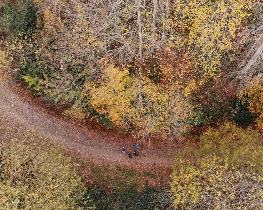 Zonguldak ormanlarındaki hazan renkleri kendine hayran bıraktırıyor - Sayfa 10