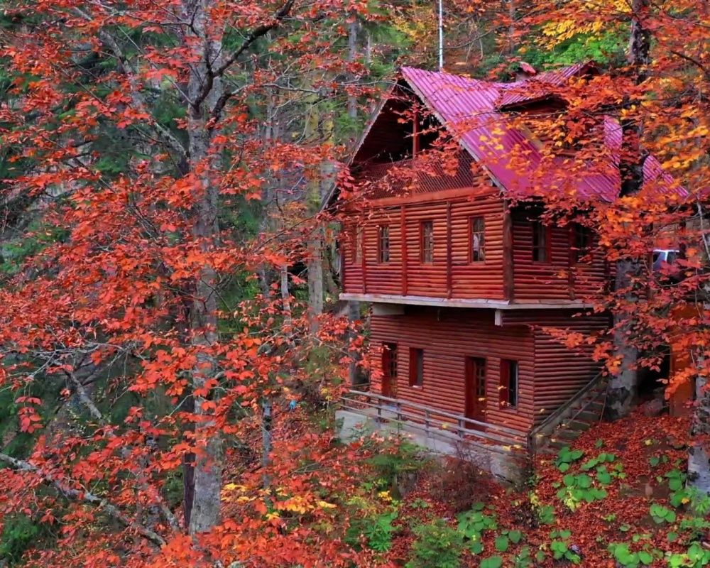 Avrupa'nın 100 orman sıcak noktasından biri olan Yenice ormanları doğa tutkunlarının vazgeçilmezi oldu - Sayfa 5