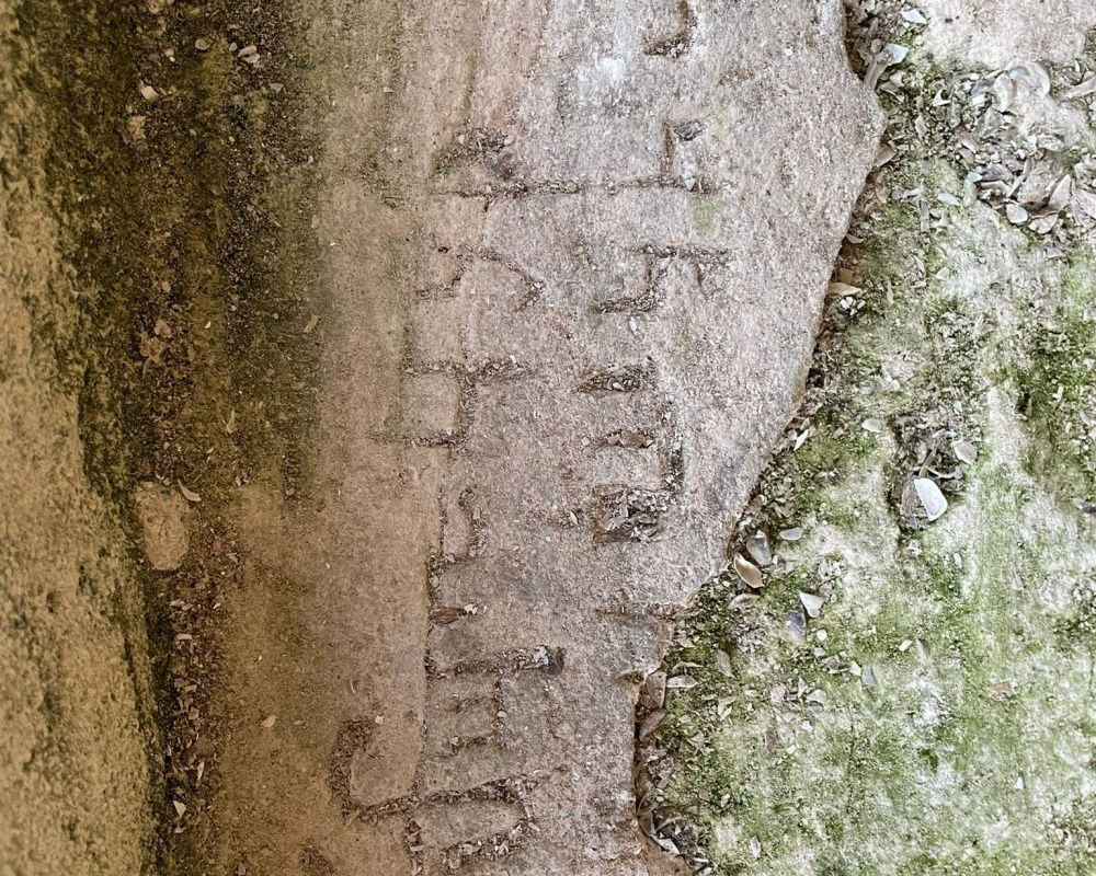 ASAD üyeleri, Elazığ'ın Keban ilçesinde bulunan 45 milyon yıllık tarihi kalıntıları görüntüledi - Sayfa 5