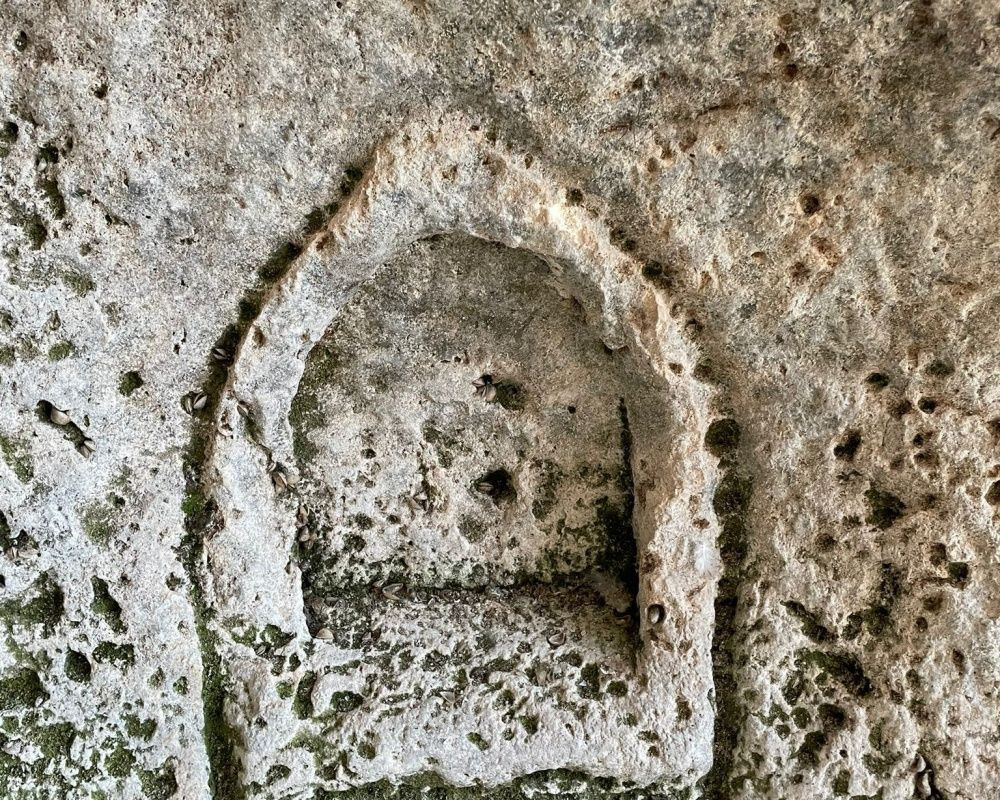 ASAD üyeleri, Elazığ'ın Keban ilçesinde bulunan 45 milyon yıllık tarihi kalıntıları görüntüledi - Sayfa 7