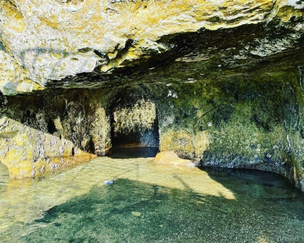 ASAD üyeleri, Elazığ'ın Keban ilçesinde bulunan 45 milyon yıllık tarihi kalıntıları görüntüledi - Sayfa 8