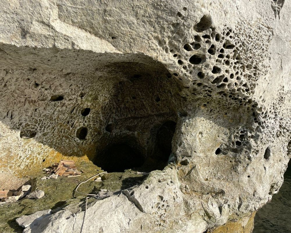 ASAD üyeleri, Elazığ'ın Keban ilçesinde bulunan 45 milyon yıllık tarihi kalıntıları görüntüledi - Sayfa 12