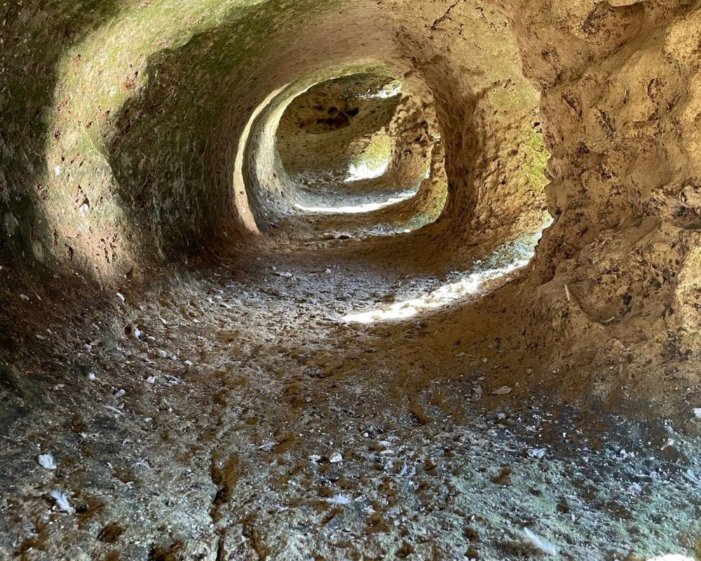 ASAD üyeleri, Elazığ'ın Keban ilçesinde bulunan 45 milyon yıllık tarihi kalıntıları görüntüledi - Sayfa 13