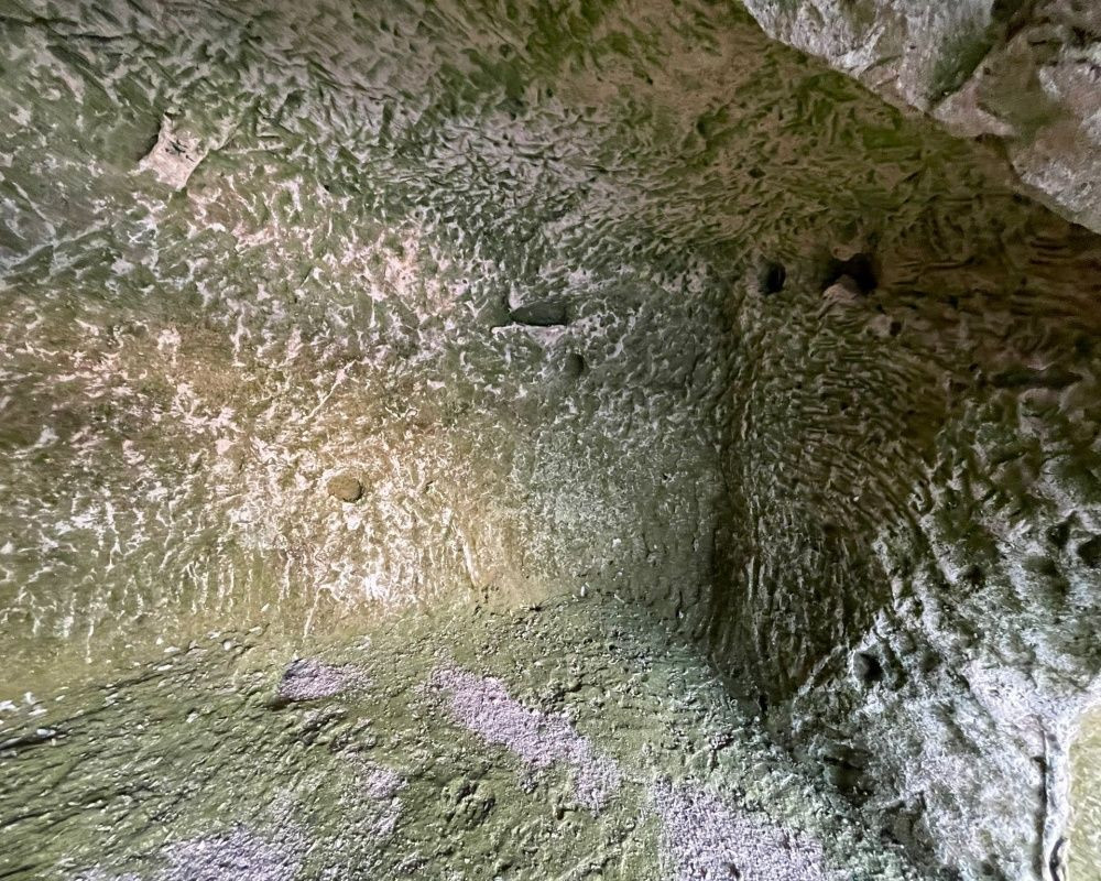 ASAD üyeleri, Elazığ'ın Keban ilçesinde bulunan 45 milyon yıllık tarihi kalıntıları görüntüledi - Sayfa 14