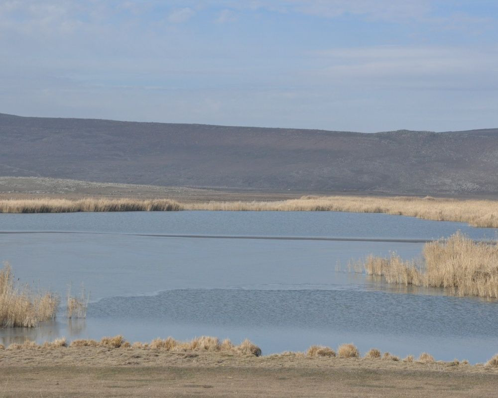 Kars'ın saklı cenneti: 'Lavaş Gölü' - Sayfa 6