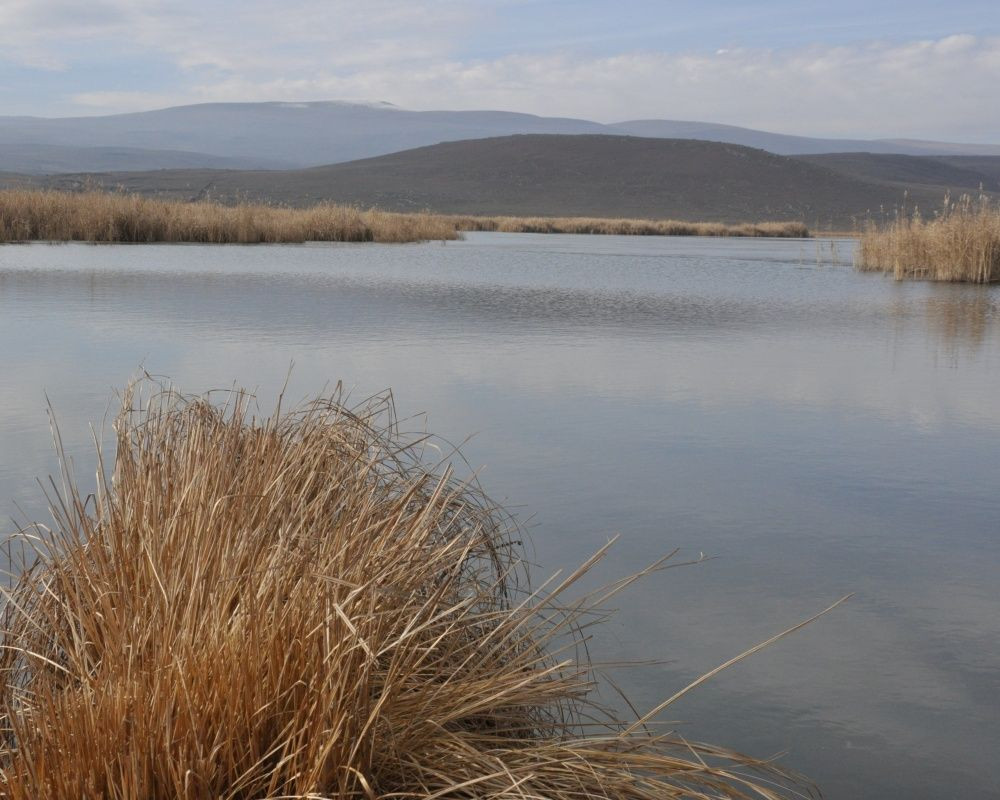 Kars'ın saklı cenneti: 'Lavaş Gölü' - Sayfa 7