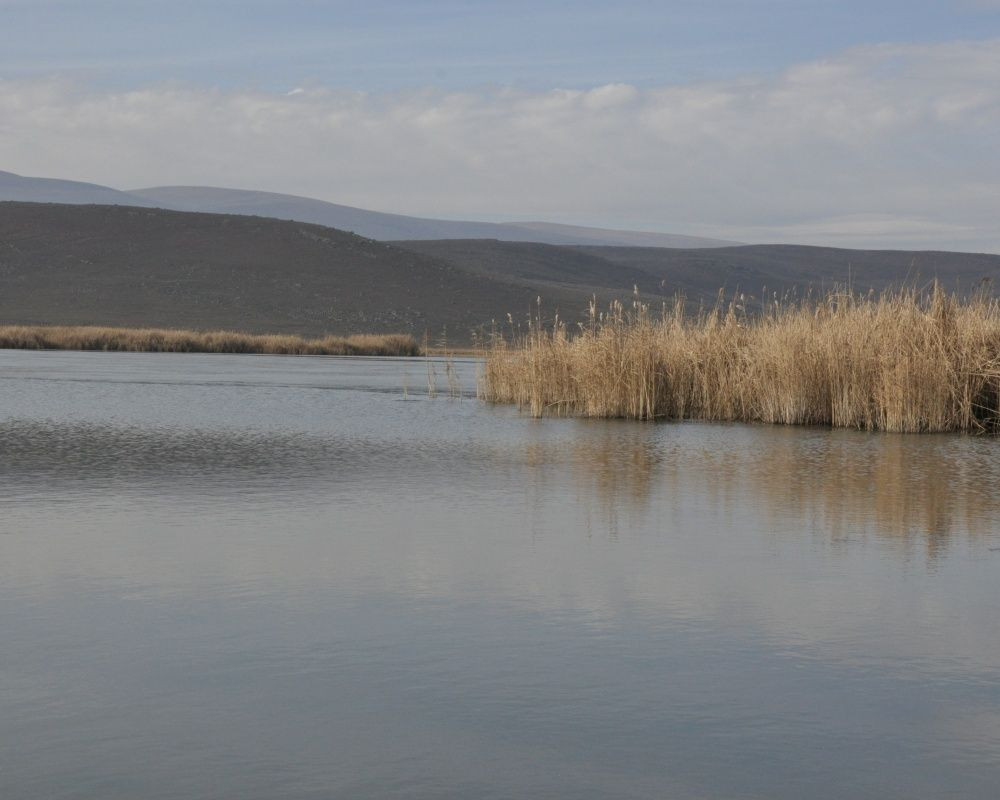 Kars'ın saklı cenneti: 'Lavaş Gölü' - Sayfa 8
