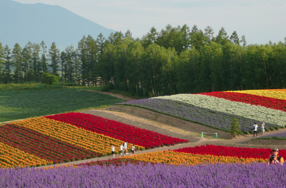 Türkiye de listede! İşte dünyadaki 'En heyecan verici' 25 yer - Sayfa 8