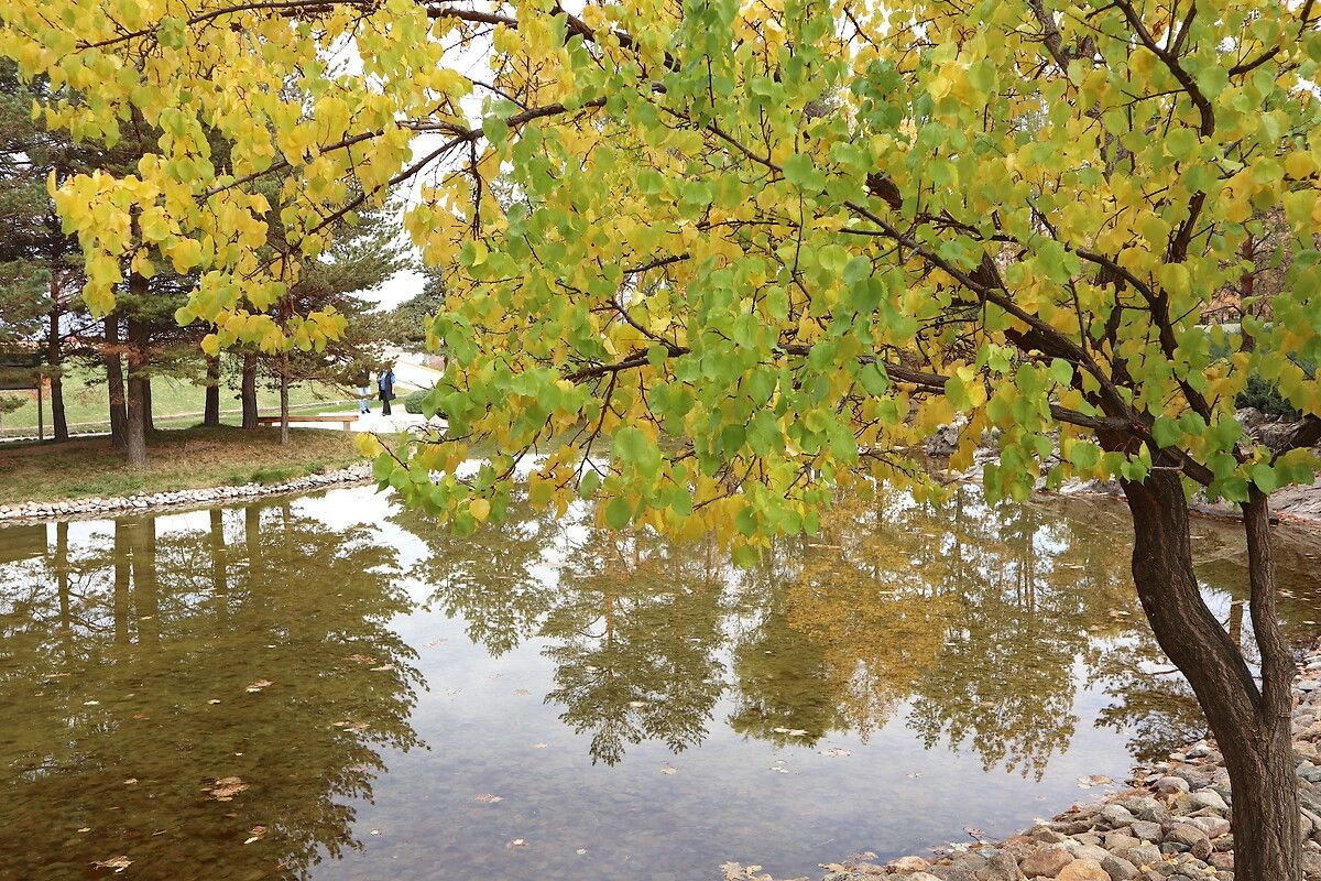 Anadolu'da bir ''Japon adası'' - Sayfa 10