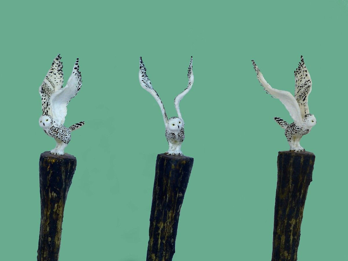 Fransız sanatçı kurşun kalemlerin ucunu sanat eserine dönüştürüyor - Sayfa 9