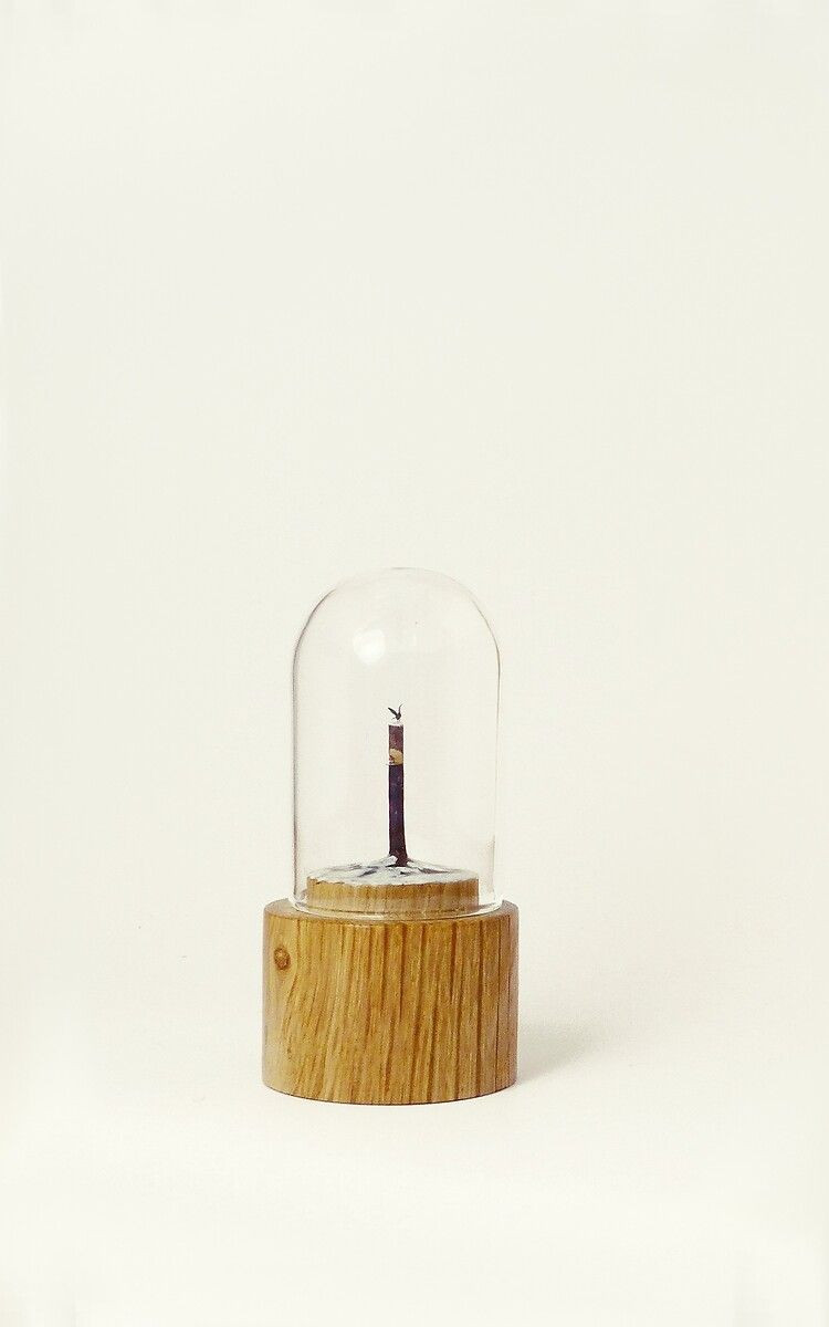 Fransız sanatçı kurşun kalemlerin ucunu sanat eserine dönüştürüyor - Sayfa 10