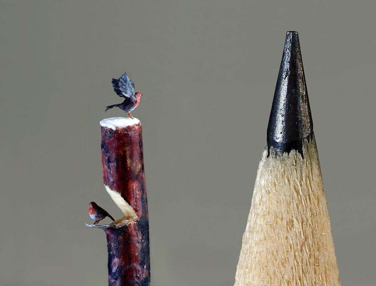 Fransız sanatçı kurşun kalemlerin ucunu sanat eserine dönüştürüyor - Sayfa 12