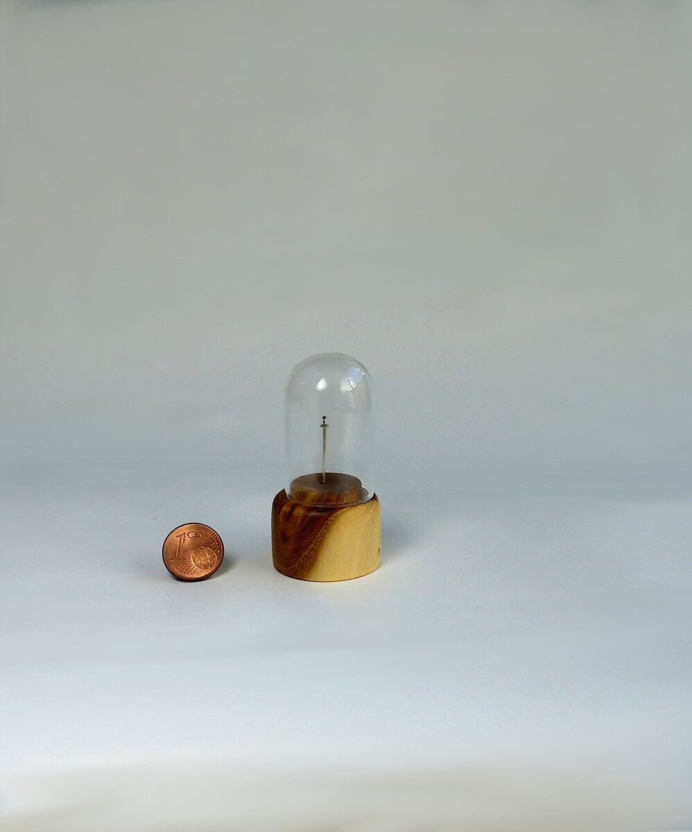 Fransız sanatçı kurşun kalemlerin ucunu sanat eserine dönüştürüyor - Sayfa 17