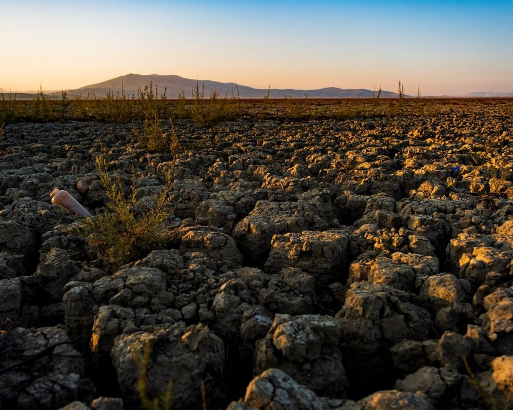 Manisa'daki Marmara Gölü'nde bilim-kurgu filmlerini aratmayan manzara - Sayfa 13