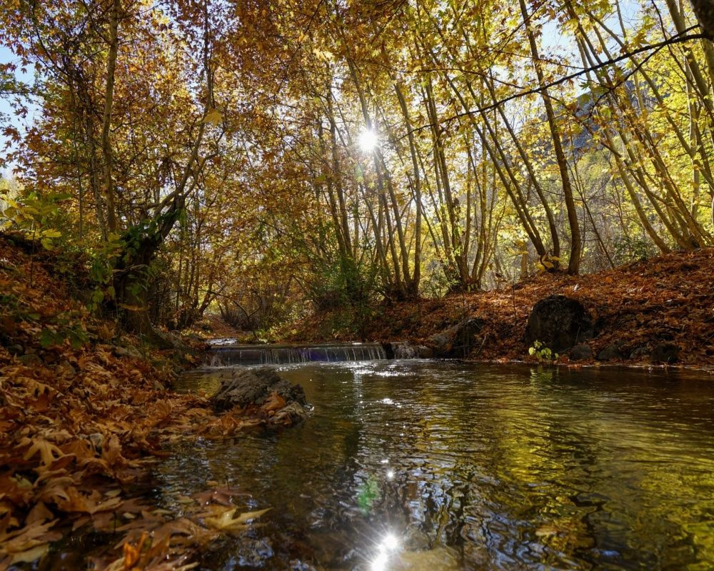 Huzurlu, sakin bir hafta sonu için rota önerisi: Malatya, Arapgir - Sayfa 5