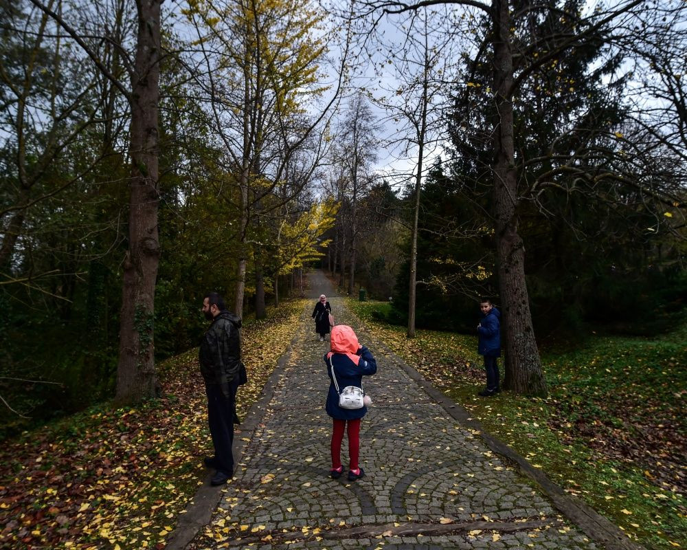 Sonbaharda İstanbul'da mutlaka görülmesi gereken bir yer: 'Canlı ağaç müzesi' Atatürk Arboretumu - Sayfa 22