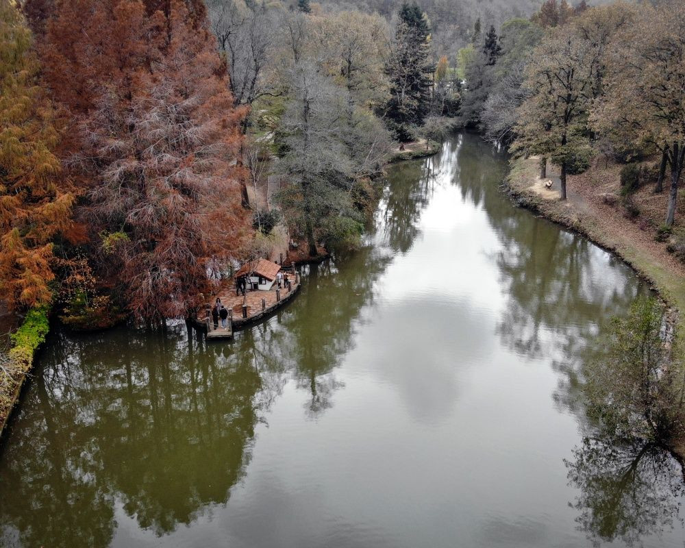 Sonbaharda İstanbul'da mutlaka görülmesi gereken bir yer: 'Canlı ağaç müzesi' Atatürk Arboretumu - Sayfa 5