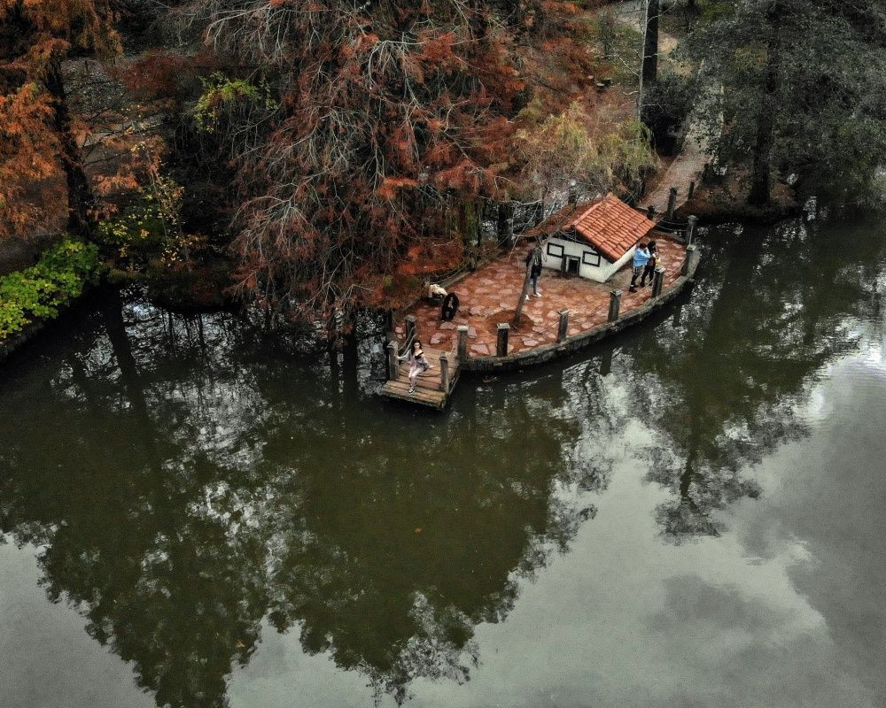 Sonbaharda İstanbul'da mutlaka görülmesi gereken bir yer: 'Canlı ağaç müzesi' Atatürk Arboretumu - Sayfa 6