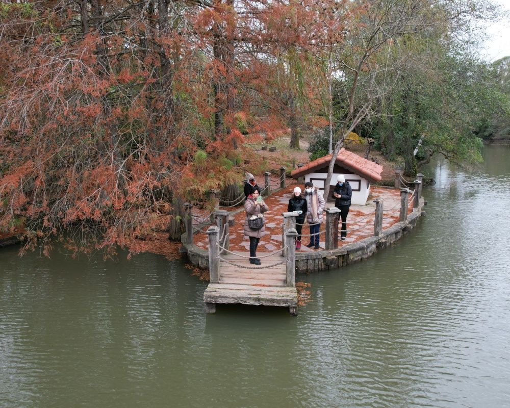 Sonbaharda İstanbul'da mutlaka görülmesi gereken bir yer: 'Canlı ağaç müzesi' Atatürk Arboretumu - Sayfa 9