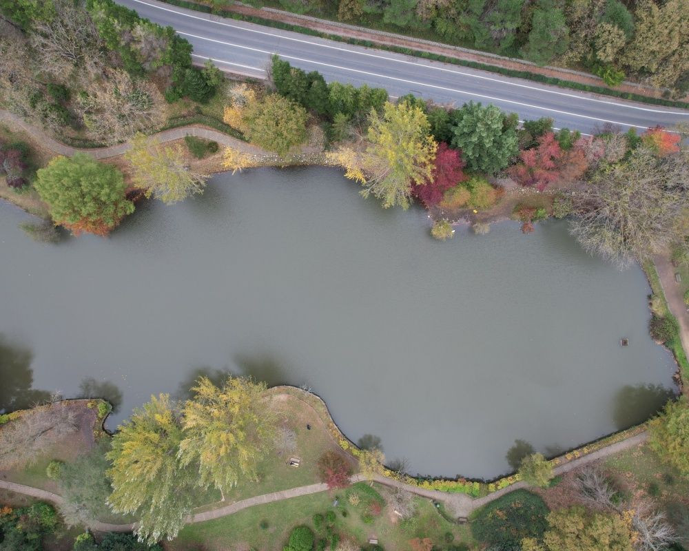 Sonbaharda İstanbul'da mutlaka görülmesi gereken bir yer: 'Canlı ağaç müzesi' Atatürk Arboretumu - Sayfa 12