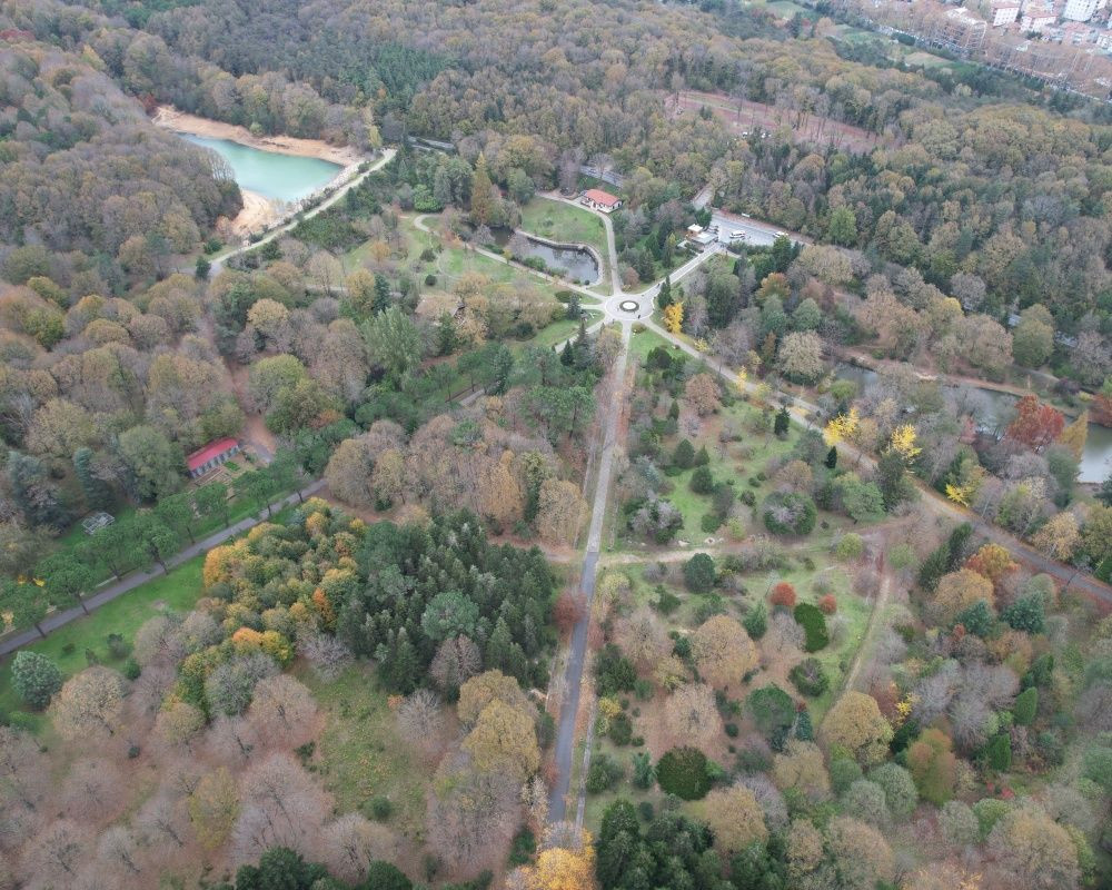 Sonbaharda İstanbul'da mutlaka görülmesi gereken bir yer: 'Canlı ağaç müzesi' Atatürk Arboretumu - Sayfa 14