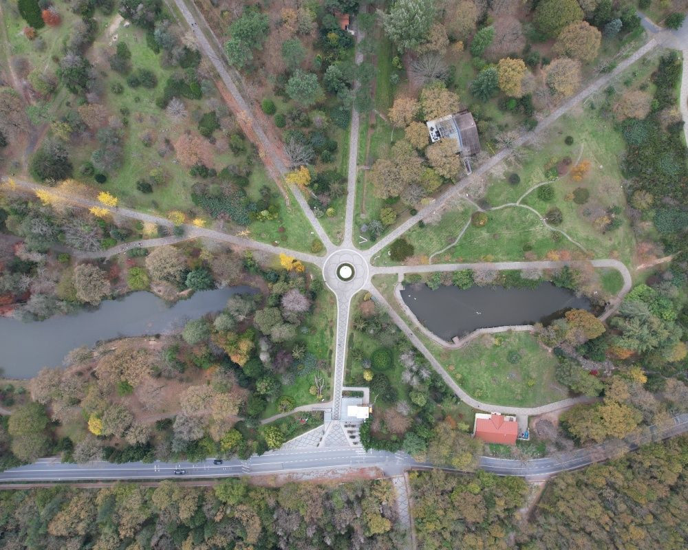 Sonbaharda İstanbul'da mutlaka görülmesi gereken bir yer: 'Canlı ağaç müzesi' Atatürk Arboretumu - Sayfa 15