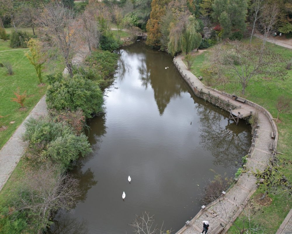 Sonbaharda İstanbul'da mutlaka görülmesi gereken bir yer: 'Canlı ağaç müzesi' Atatürk Arboretumu - Sayfa 16
