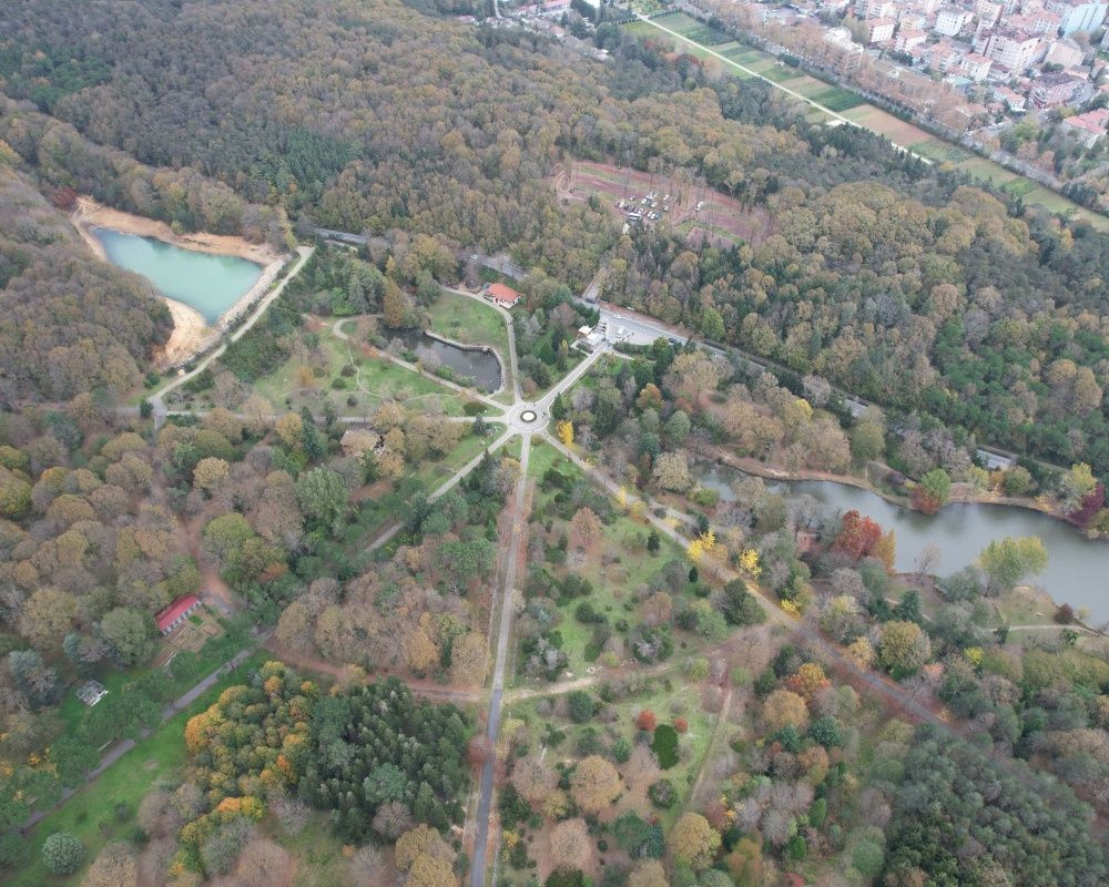 Sonbaharda İstanbul'da mutlaka görülmesi gereken bir yer: 'Canlı ağaç müzesi' Atatürk Arboretumu - Sayfa 17