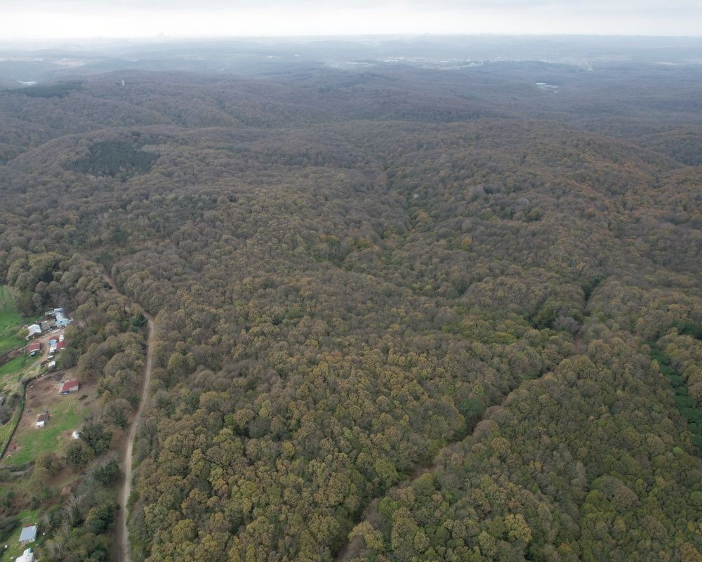 Sonbaharda İstanbul'da mutlaka görülmesi gereken bir yer: 'Canlı ağaç müzesi' Atatürk Arboretumu - Sayfa 18