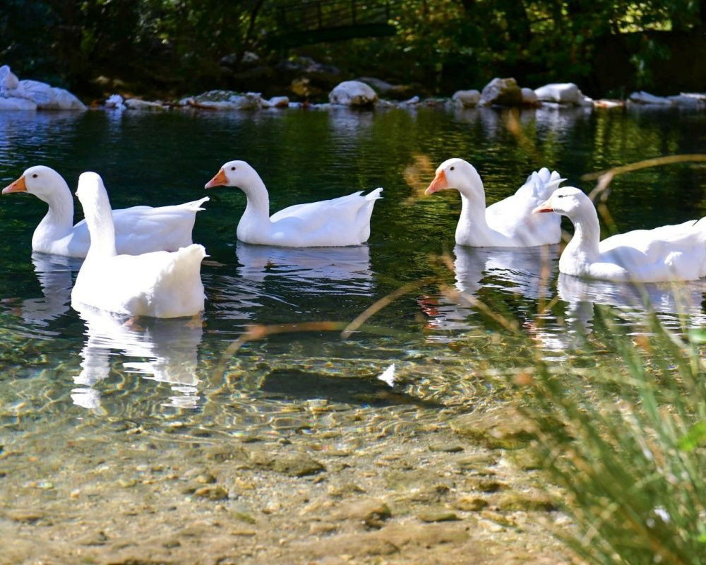 Isparta'da Yazılı Kanyon Tabiat Parkı'ndan büyüleyen manzaralar - Sayfa 5