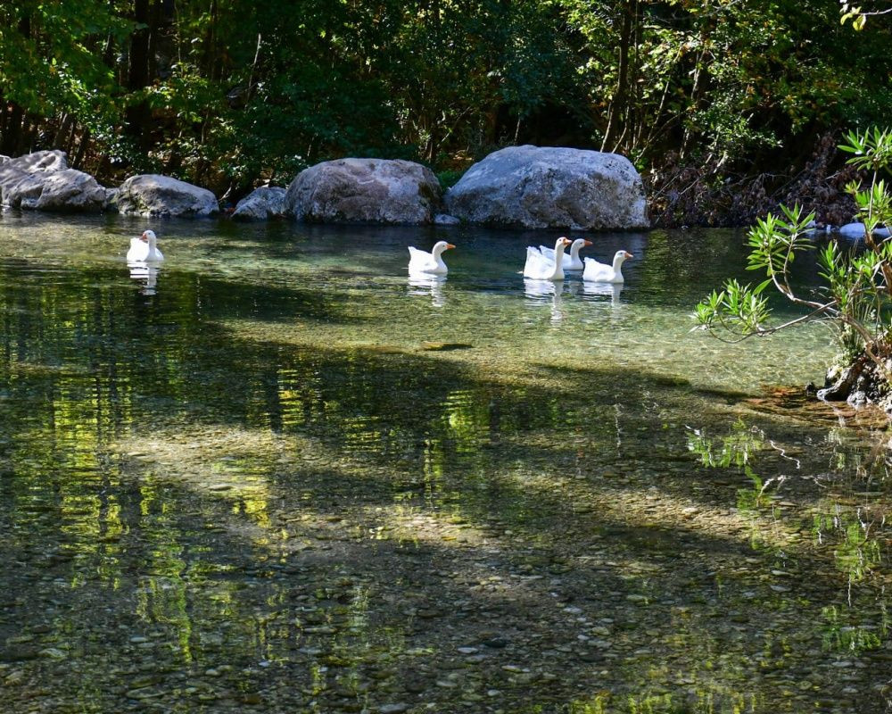 Isparta'da Yazılı Kanyon Tabiat Parkı'ndan büyüleyen manzaralar - Sayfa 9