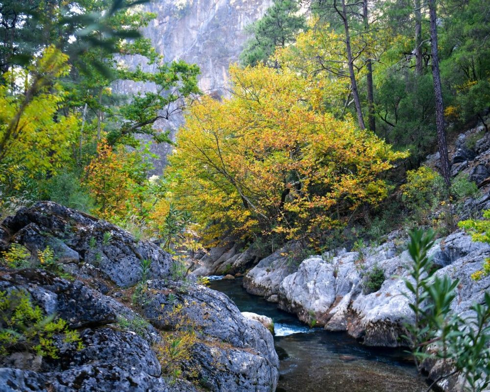 Isparta'da Yazılı Kanyon Tabiat Parkı'ndan büyüleyen manzaralar - Sayfa 22