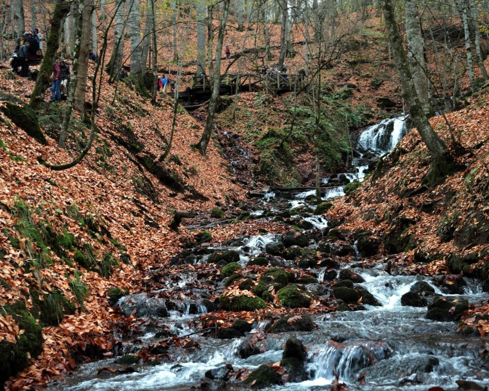 Yedigöller Milli Parkı'nı son iki ayda yaklaşık 100 bin kişi ziyaret etti - Sayfa 5
