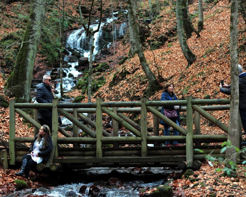 Yedigöller Milli Parkı'nı son iki ayda yaklaşık 100 bin kişi ziyaret etti - Sayfa 7