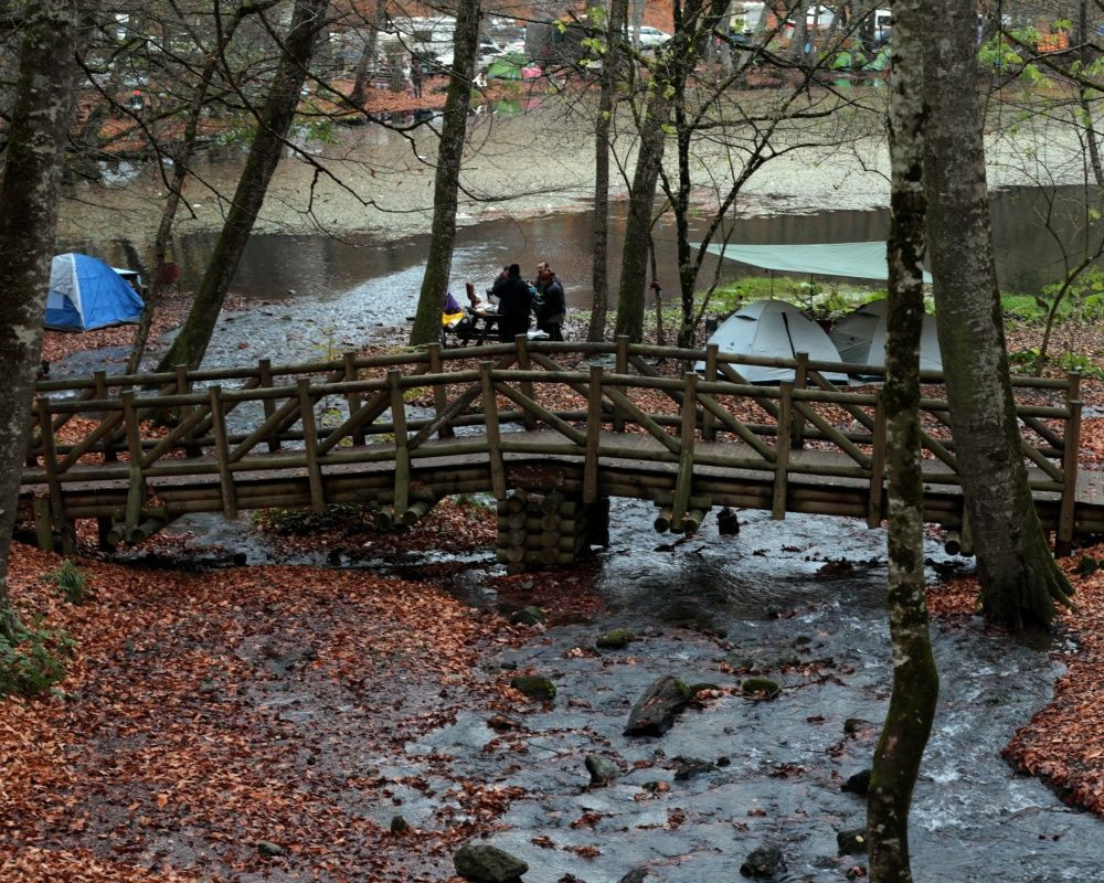 Yedigöller Milli Parkı'nı son iki ayda yaklaşık 100 bin kişi ziyaret etti - Sayfa 8