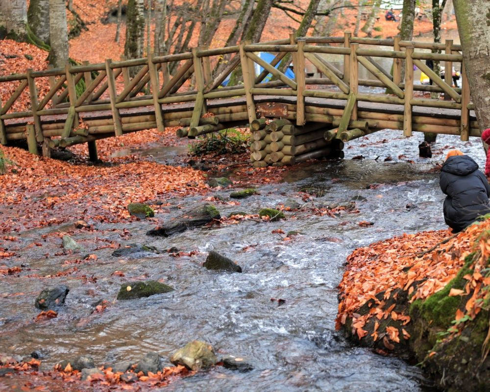 Yedigöller Milli Parkı'nı son iki ayda yaklaşık 100 bin kişi ziyaret etti - Sayfa 9
