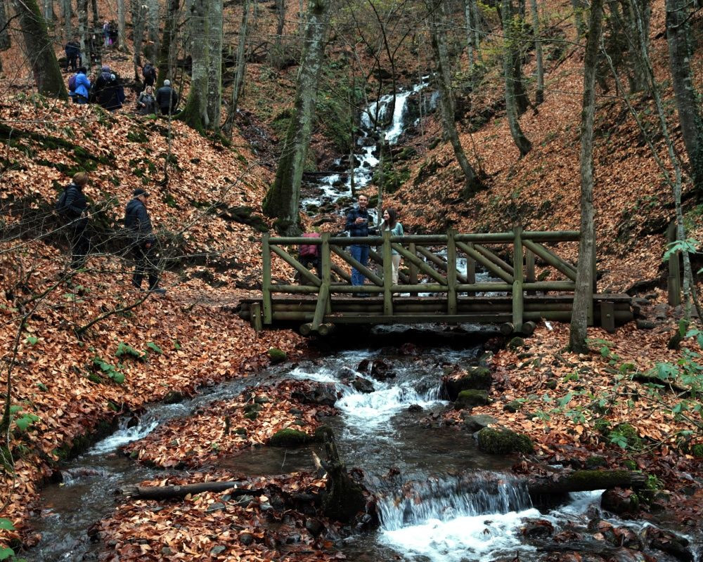 Yedigöller Milli Parkı'nı son iki ayda yaklaşık 100 bin kişi ziyaret etti - Sayfa 10