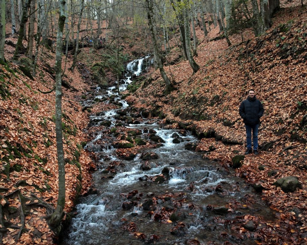 Yedigöller Milli Parkı'nı son iki ayda yaklaşık 100 bin kişi ziyaret etti - Sayfa 12