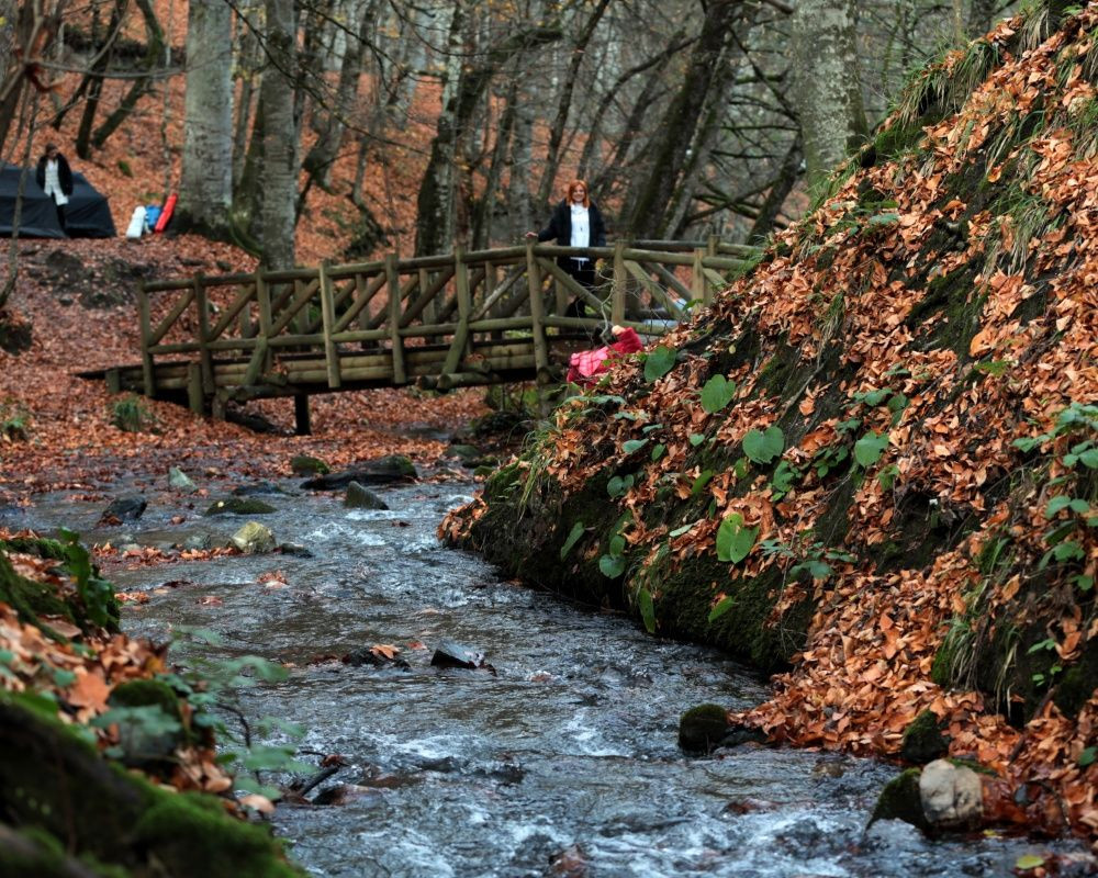 Yedigöller Milli Parkı'nı son iki ayda yaklaşık 100 bin kişi ziyaret etti - Sayfa 14