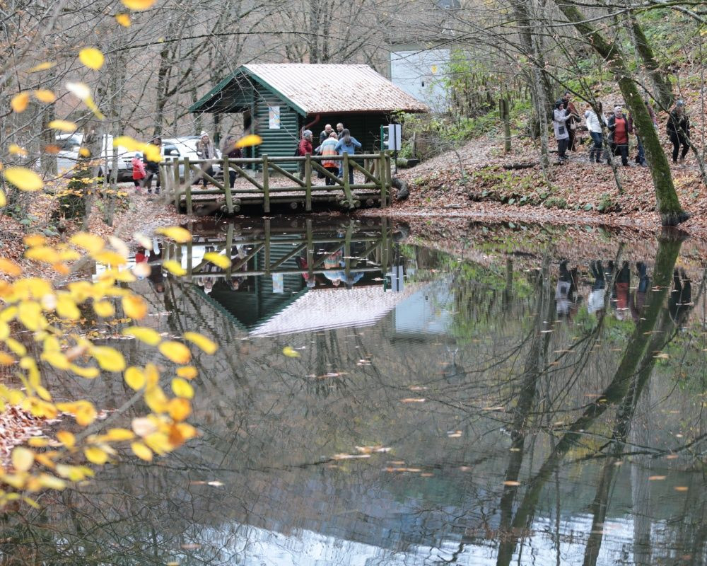 Yedigöller Milli Parkı'nı son iki ayda yaklaşık 100 bin kişi ziyaret etti - Sayfa 16